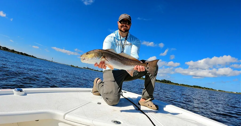 Aas & Voer Winkel -Aas & Voer Winkel 5