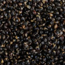 Saga Oil Boosted Original Hemp 6 Saga Oil Boosted Original Hemp -Aas & Voer Winkel SAGA Original Hemp 2 scaled