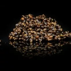 Saga Oil Boosted Original Hemp 7 Saga Oil Boosted Original Hemp -Aas & Voer Winkel SAGA Original Hemp 3 scaled