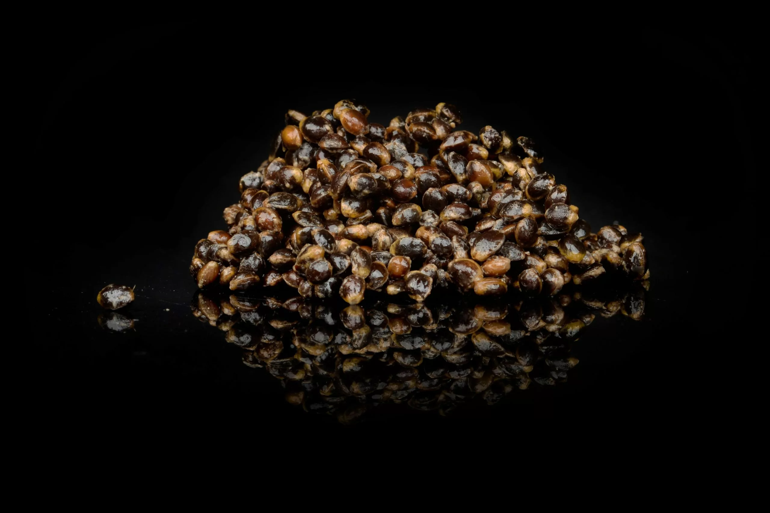 Saga Oil Boosted Original Hemp 4 Saga Oil Boosted Original Hemp - Afbeelding 4