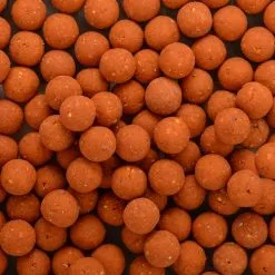 Saga Scopex &amp; Butric -Aas & Voer Winkel Saga Scopex Butyric Boilies 2