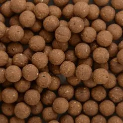 Saga Squid & Garlic Boilies 7 Saga Squid & Garlic Boilies -Aas & Voer Winkel Saga Squid Garlic Boilies 2